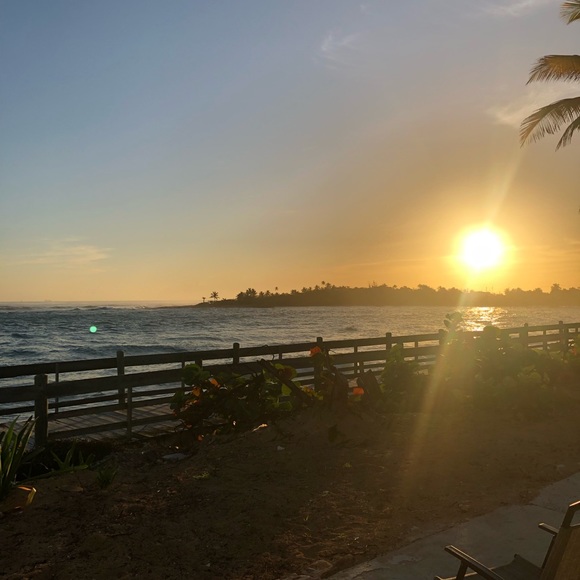 Meet your Posher, Crystal - Picture 1 of 1